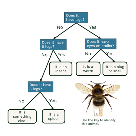 Branching key with bumblebee