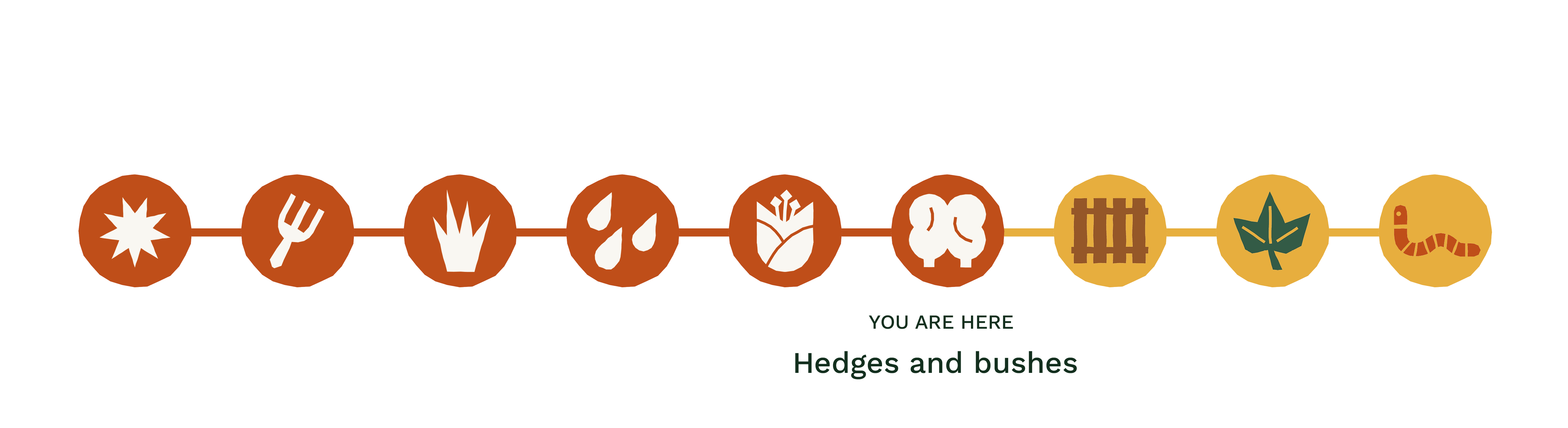 Progress bar stating 'you are here' on hedges and bushes