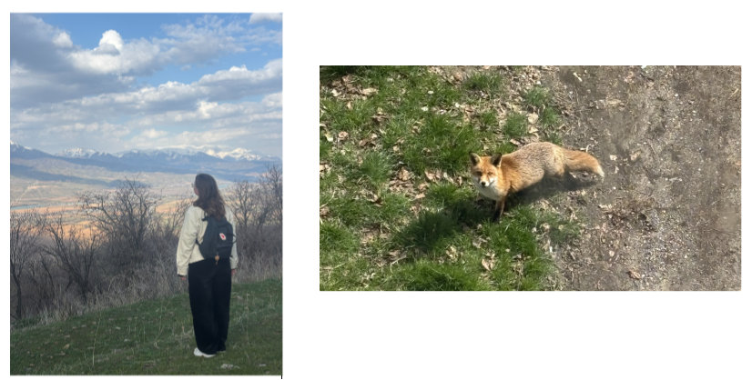 Tegan with mountains and a photo of a fox