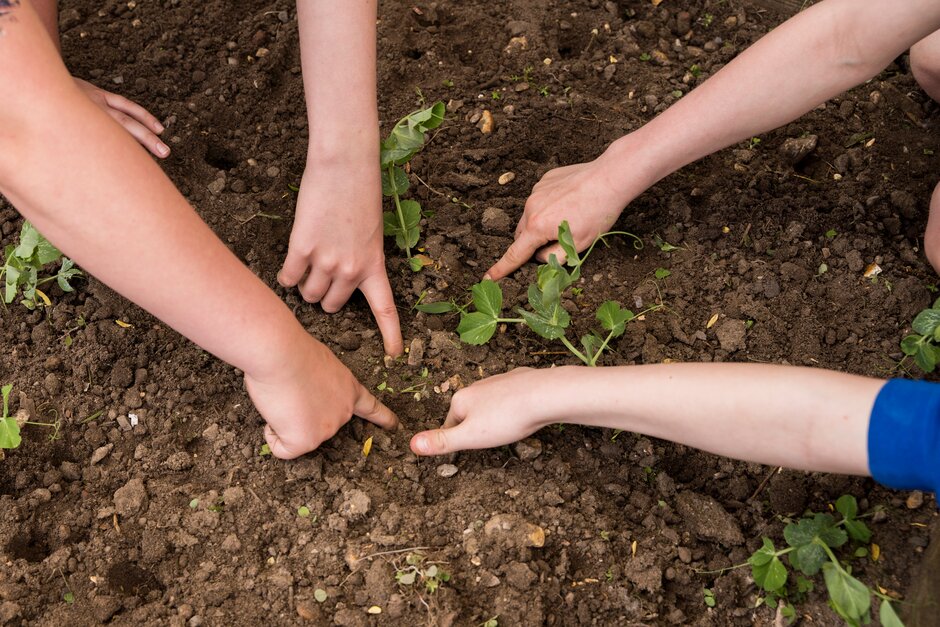 Children's hands digging in soil