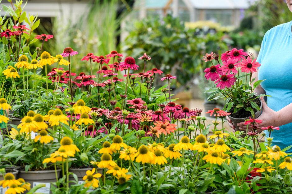 Customer choosing plants at a garden centre