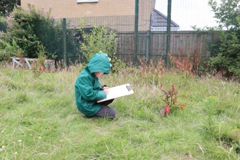 An image of a learner studying grass at their school