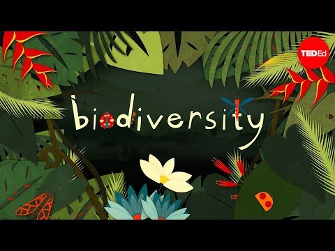 Preview image for the video "Why is biodiversity so important? - Kim Preshoff".