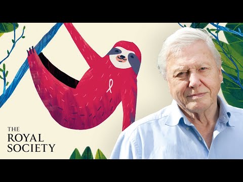 Preview image for the video "Why is biodiversity important - with Sir David Attenborough | The Royal Society".