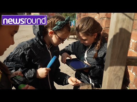 Preview image for the video "National Education Nature Park: Investigating nature in YOUR playground".