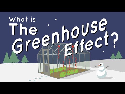 Preview image for the video "What Is the Greenhouse Effect?".
