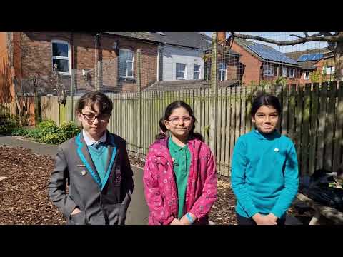 Preview image for the video "Ark Tindal Primary Academy's eco-garden".