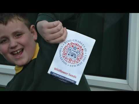 Preview image for the video "Milton Hall Primary School Nature park Project".