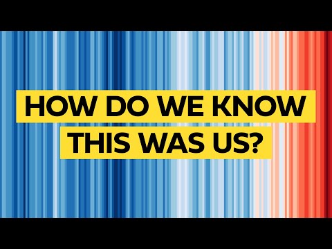 Preview image for the video "Are humans really behind the extra CO2 in the atmosphere?".