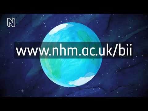 Preview image for the video "How is nature changing? | Natural History Museum".