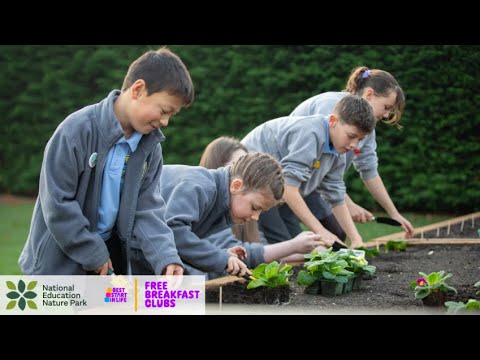 Preview image for the video "Free breakfast clubs and the National Education Nature Parks programme - school case study".