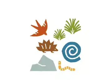 Illustrations of plants, animals and water in an ecosystem