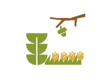 Illustrations of plants
