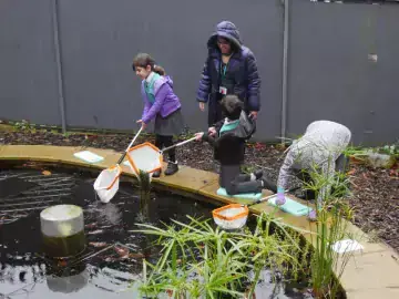 students using nets to explore their school pond