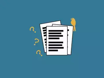 Illustration of reports with question marks and a bird