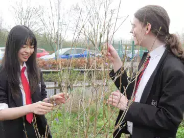 Learners look at tree branches