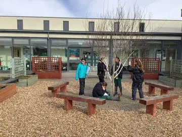 Pupils conducting tree surveys to assess the tree habitats they have