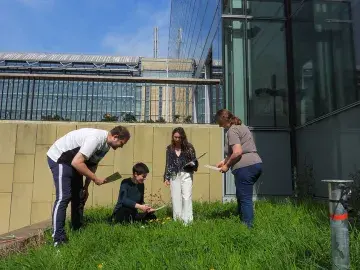 Four scientists study grass in the Natural History Museum gardens