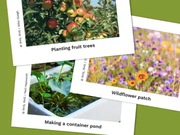 Preview of photographs of green interventions, on a green background