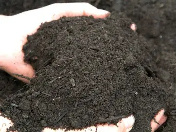 hands in soil