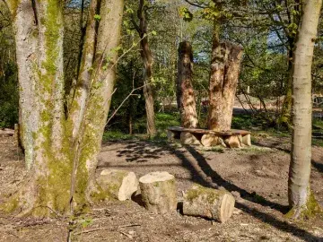 natural materials arranged in a woodland area for seating or play