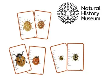 Ladybird cards with the Natural History Museum logo