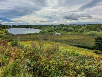 Photo of a landscape with a small lake, stream, and variety of other habitats visible.