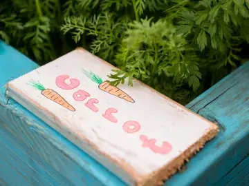 painted wooden sign in the garden displaying the word 'carrot'