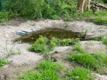 a photograph of a pond with vegetation surrounding it