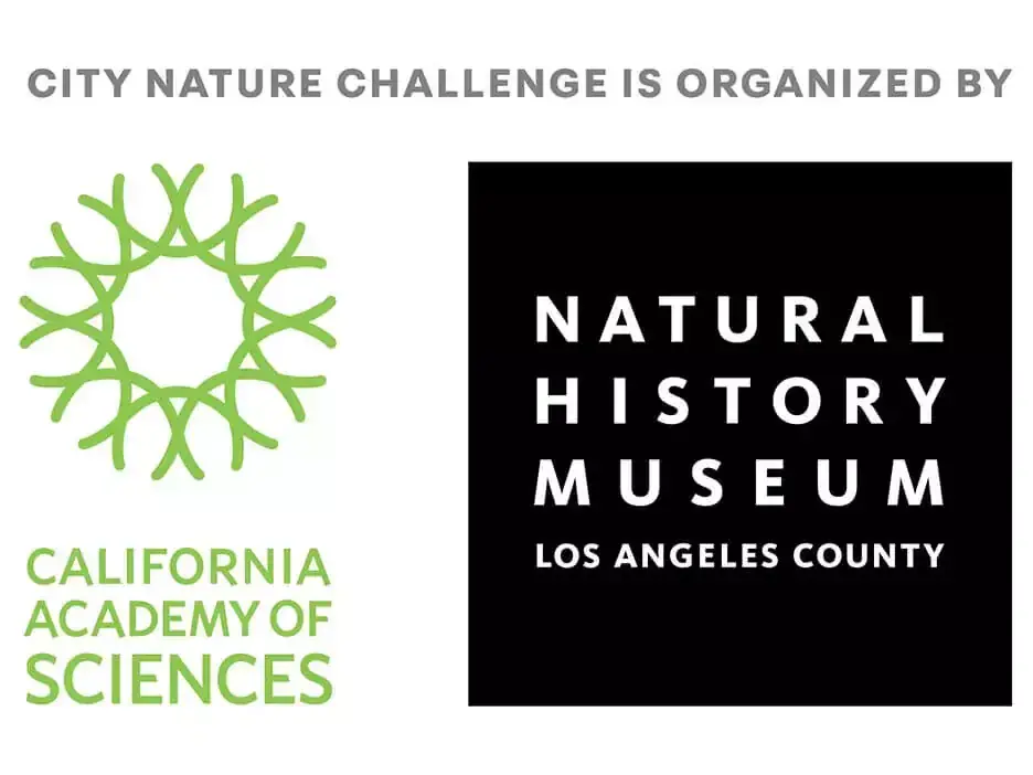 City Nature Challenge organizer logo