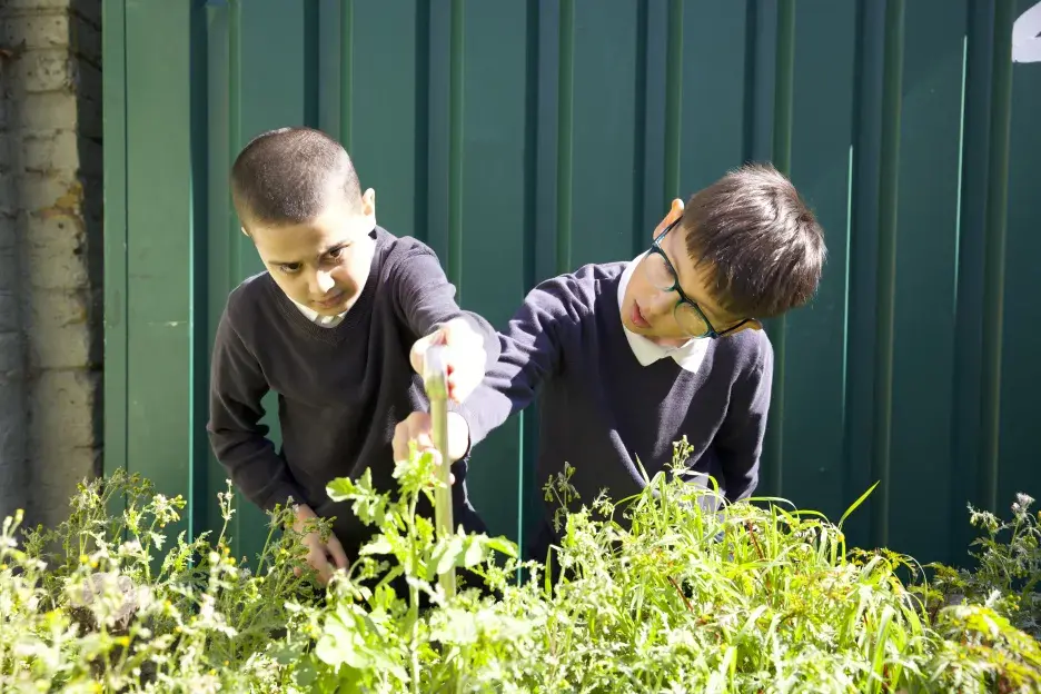 Boys look at plant 