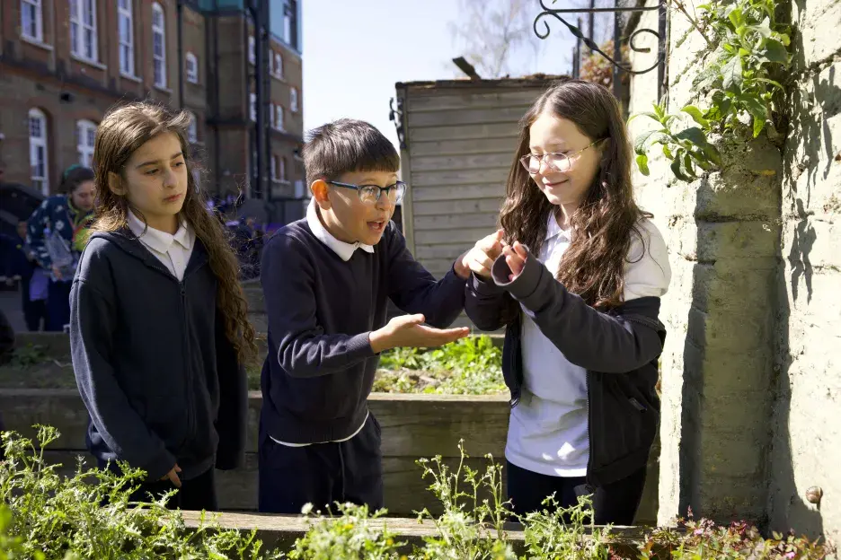 Pupils inspect a bug 