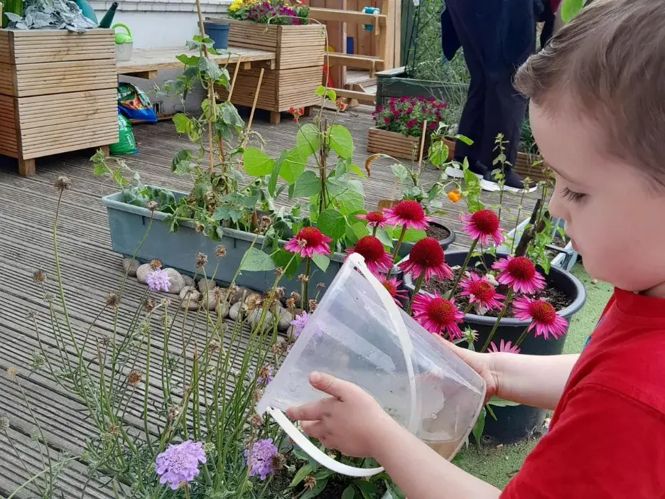 child waters plant 