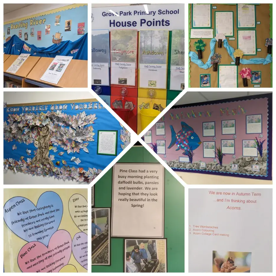A collage of images