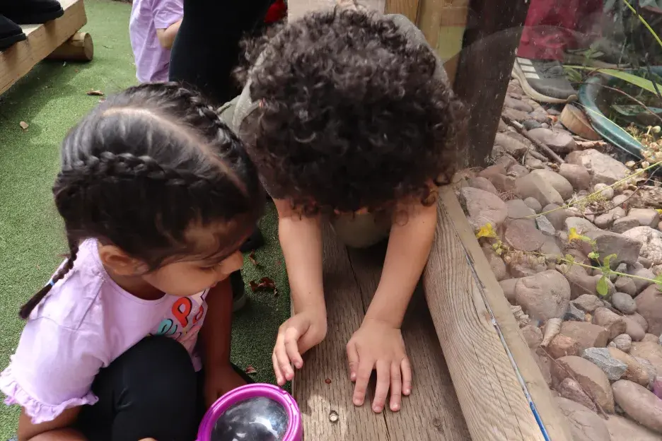two young children observe a ladybird with a magnifying glass