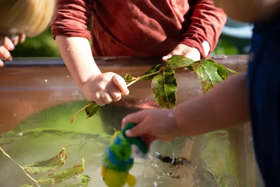 Children's hands playing with leaves in a container of water
