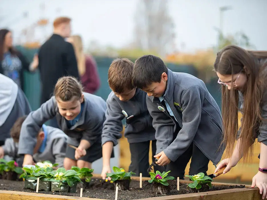 Students planting on their school site