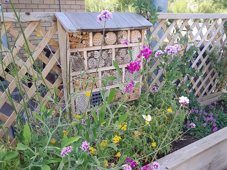 Colourful flowers and a bug hotel