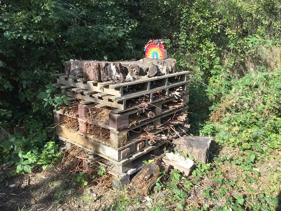 A bug hotel