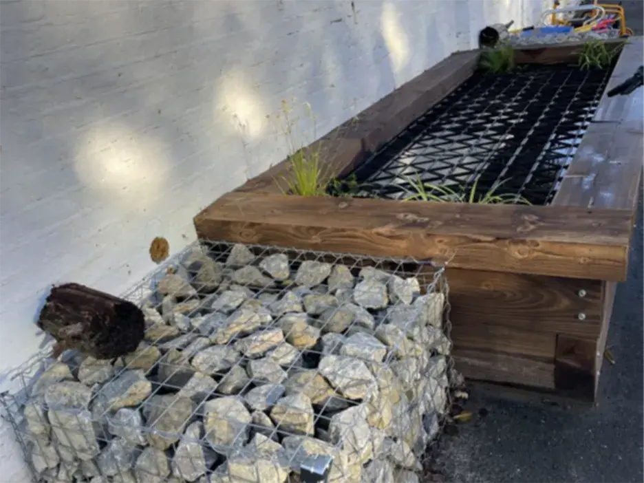 A pond with the 'migrant corridor' for amphibians to move from the school pond on one side of the wall to the community pond on the other side of the wall