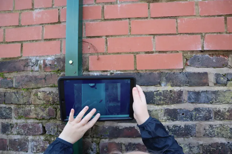 Pupil uses iPad to take photo of bug