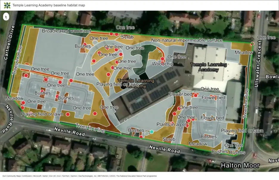 Temple Learning Academy baseline habitat map