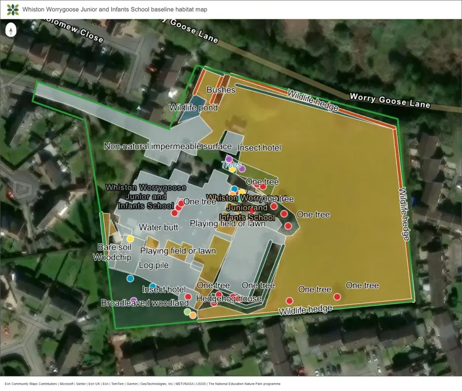 Whiston School baseline habitat map