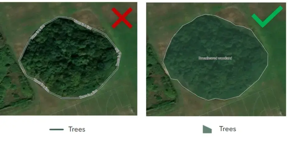 Showing what a line feature and area feature look like