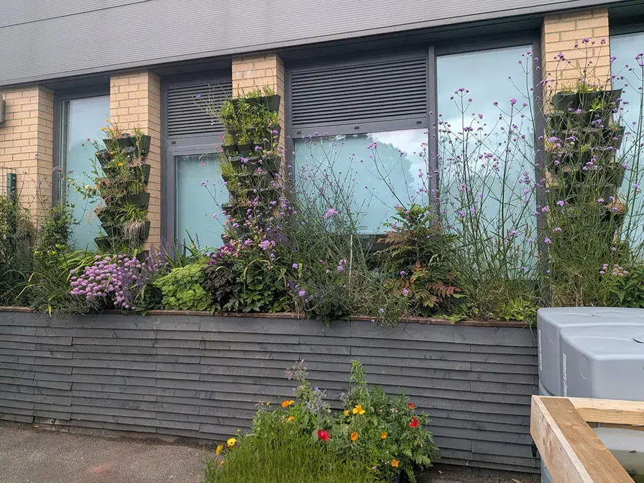 A living wall at Co-op Academy