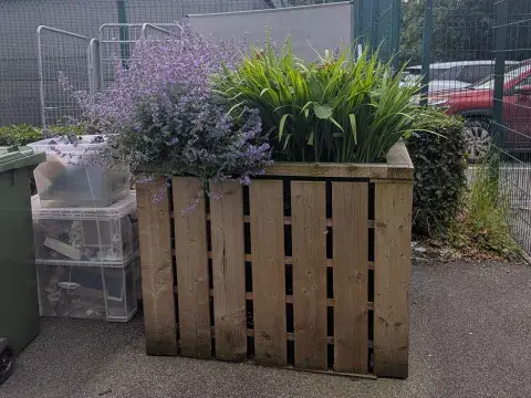 An IBC filled with plants