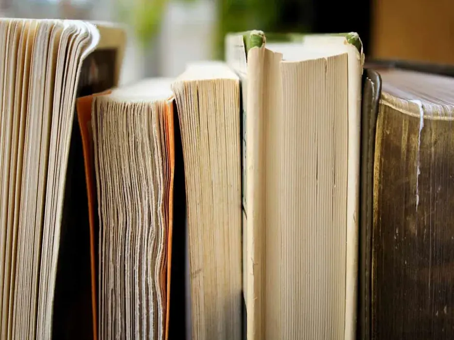 Books next to each other on a shelf